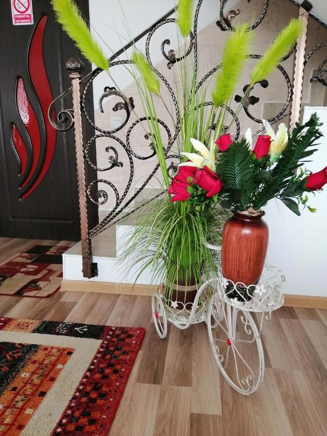 부스테니 Vila Darian 빌라 외부 사진